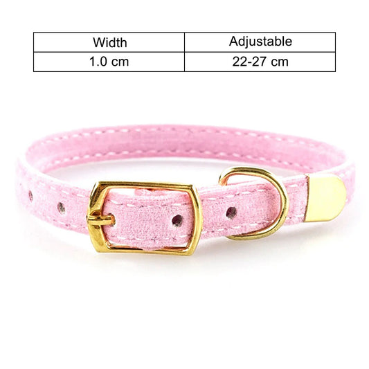 Fashionable Cat Collar