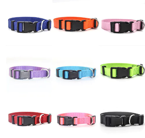 Multicolor Nylon Pet Collar for Dogs and Cats