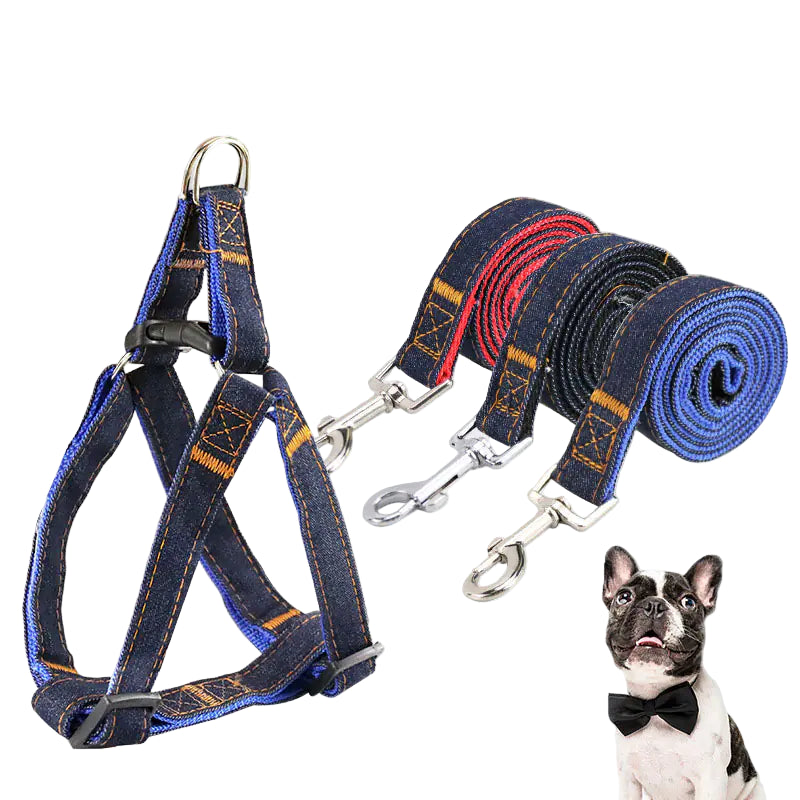 Dog harness and leash set with a dog wearing a bow tie on a light gray background