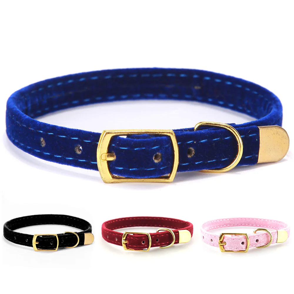 Fashionable Cat Collar