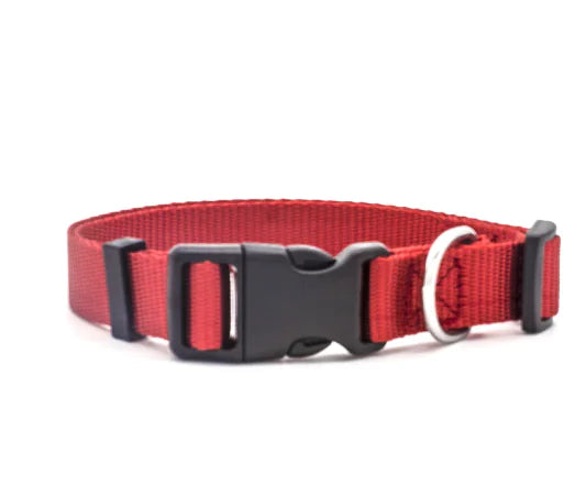 Multicolor Nylon Pet Collar for Dogs and Cats