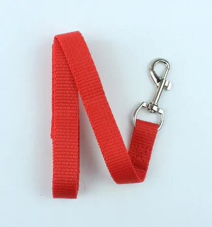 Multicolor Pet Leash