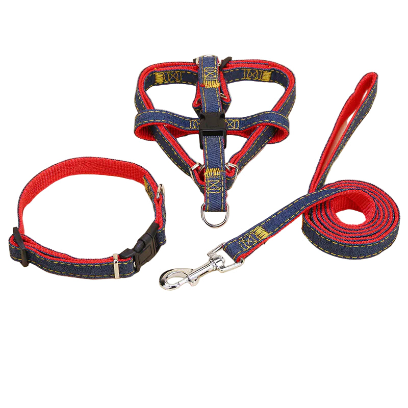 Dog collar, harness, and leash set with red and blue design on a beige background