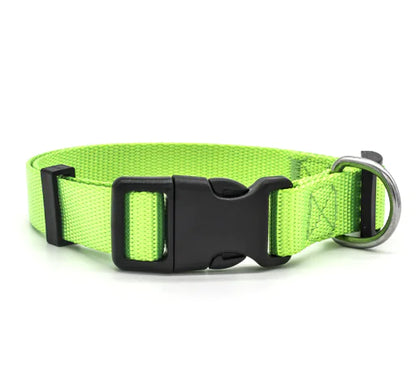 Multicolor Nylon Pet Collar for Dogs and Cats