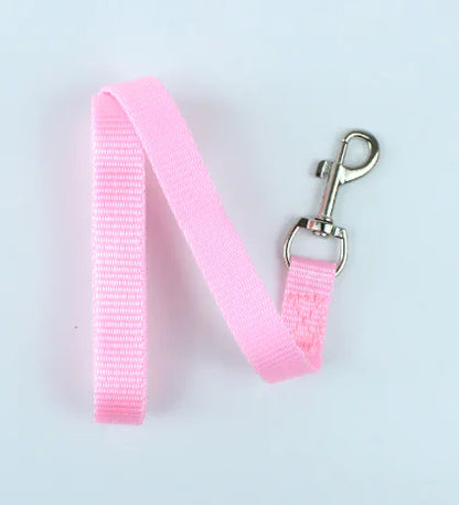 Multicolor Pet Leash