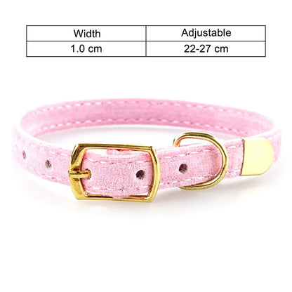 Fashionable Cat Collar