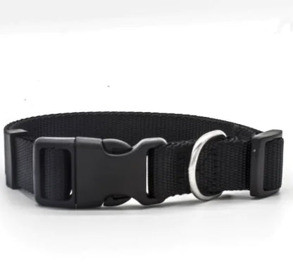 Multicolor Nylon Pet Collar for Dogs and Cats