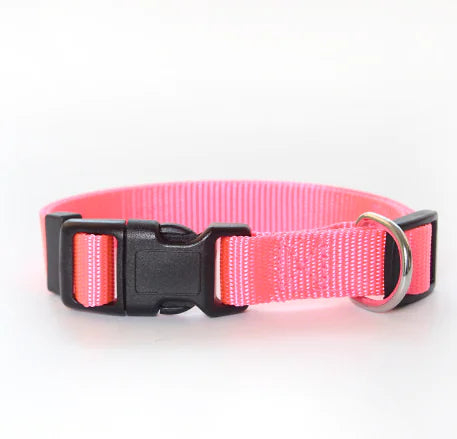 Multicolor Nylon Pet Collar for Dogs and Cats