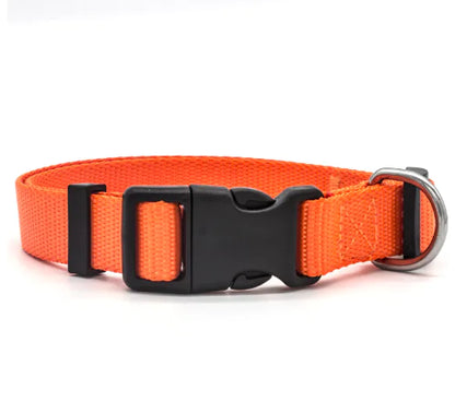 Multicolor Nylon Pet Collar for Dogs and Cats