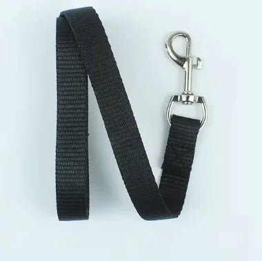 Multicolor Pet Leash