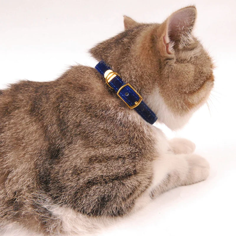 Fashionable Cat Collar