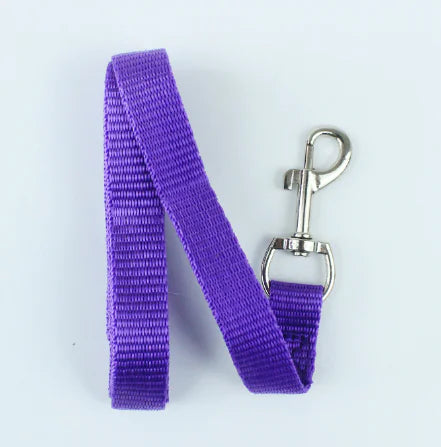 Multicolor Pet Leash